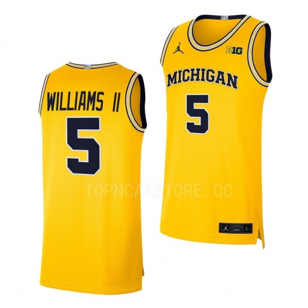 Terrance Williams II Michigan Wolverines #5 Maize ...